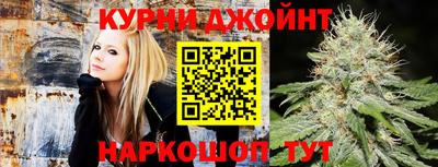 гидропоника Краснознаменск