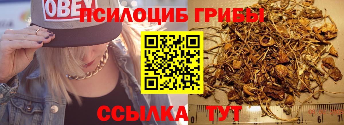Галлюциногенные грибы Cubensis  Вход с VPN  Чусовой 
